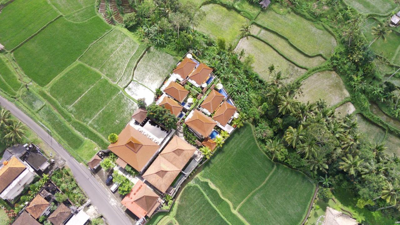 Danakha Villa Ubud Tegallalang  Eksteriør billede